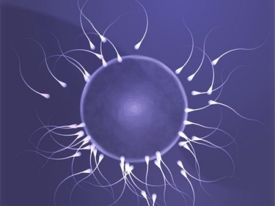 Utilizzare il telefonino riduce gli spermatozoi